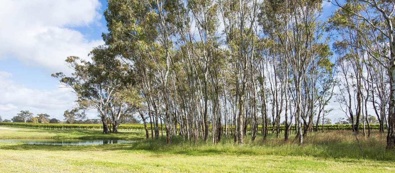 89 Nolans Road, Hynam For Sale by Farmbuy.com - image 3