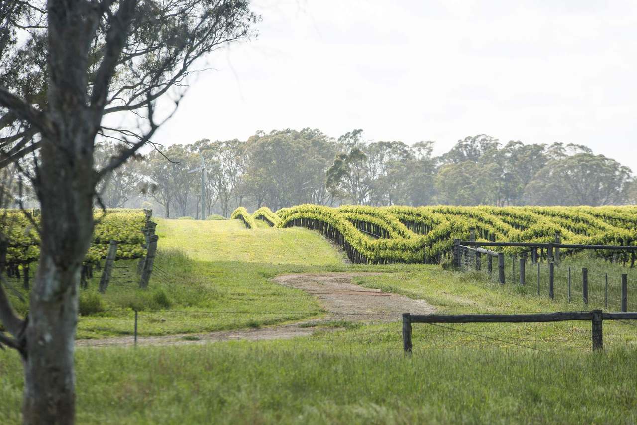 89 Nolans Road, Hynam For Sale by Farmbuy.com - image 4