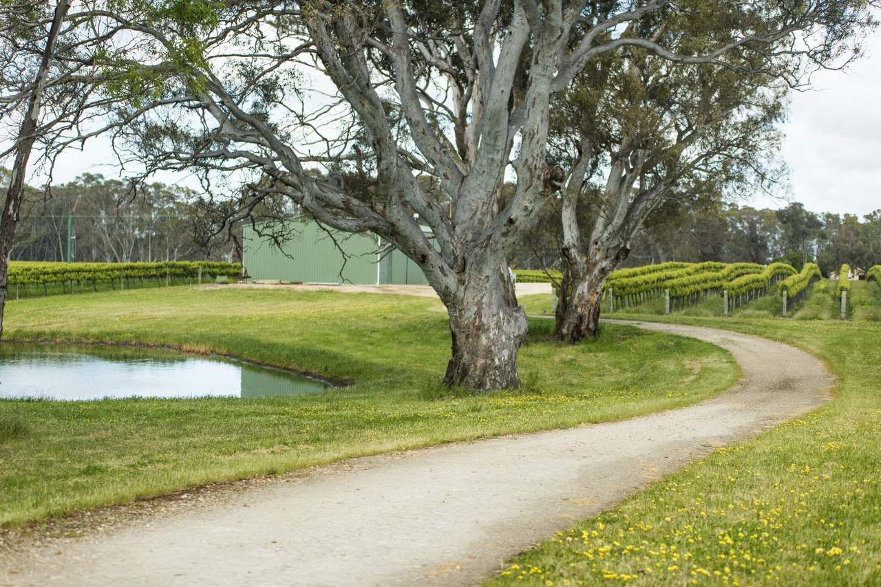 89 Nolans Road, Hynam For Sale by Farmbuy.com - image 5