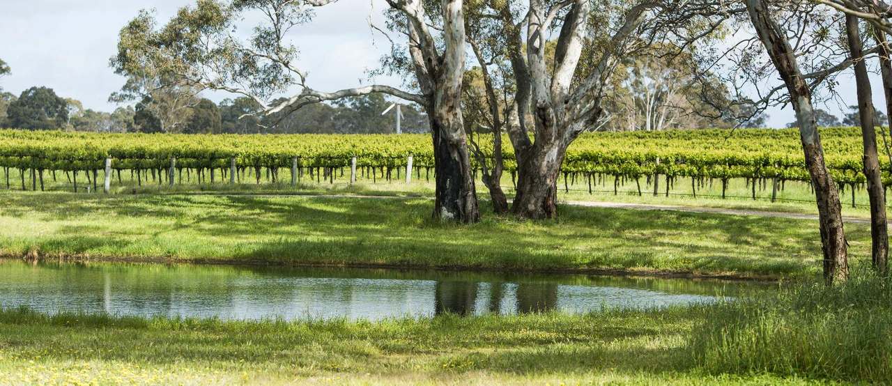 89 Nolans Road, Hynam For Sale by Farmbuy.com - image 6