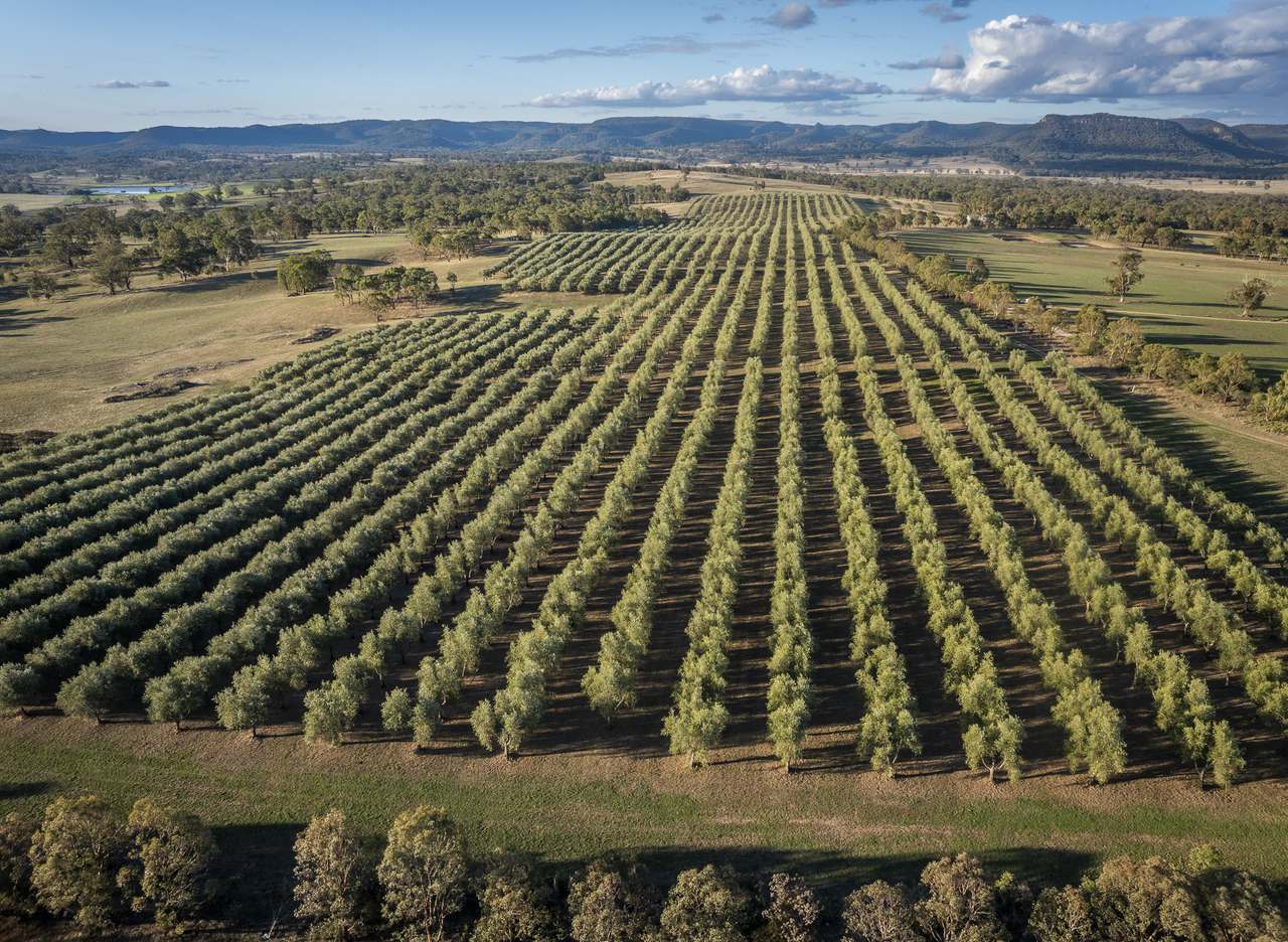 25 Mossy Rock Lane, Monivae For Sale by Farmbuy.com - image 2