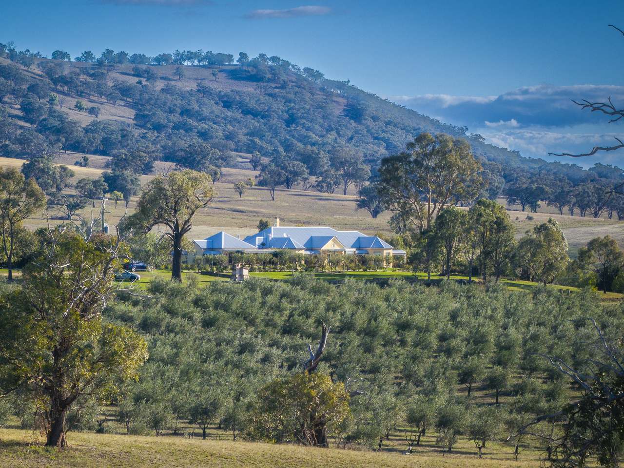 25 Mossy Rock Lane, Monivae For Sale by Farmbuy.com - image 1