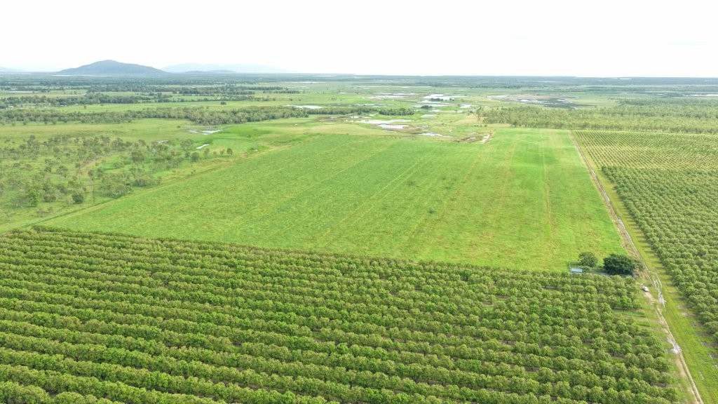 3 Comiskey Road, Horseshoe Lagoon For Sale by Farmbuy.com - image 23