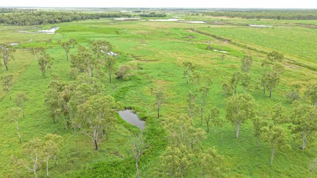 3 Comiskey Road, Horseshoe Lagoon For Sale by Farmbuy.com - image 7