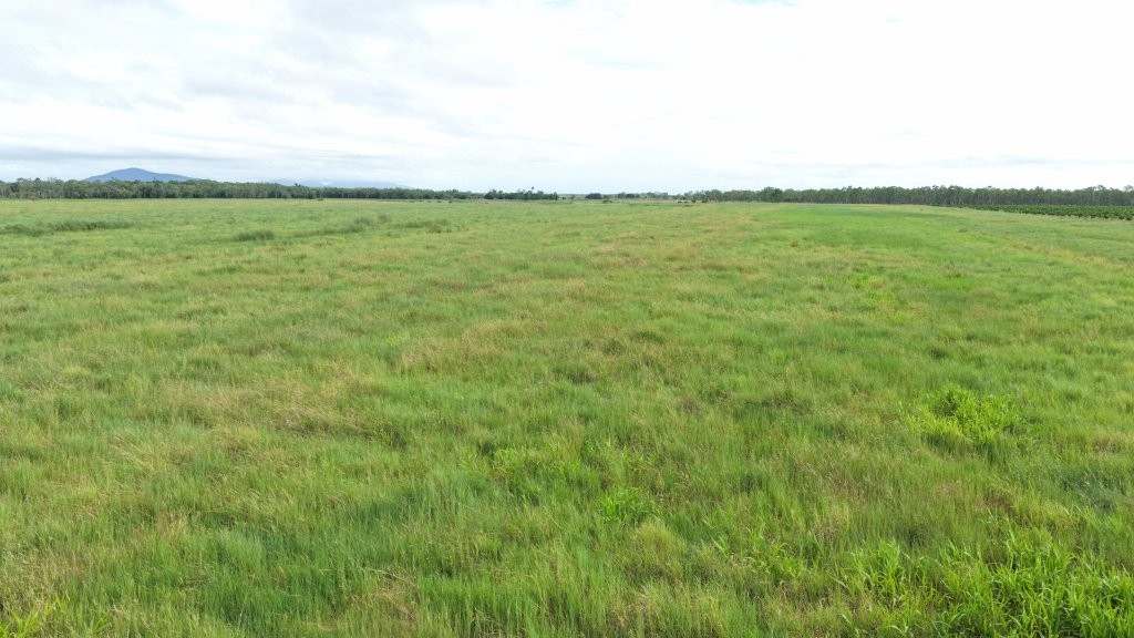 3 Comiskey Road, Horseshoe Lagoon For Sale by Farmbuy.com - image 13