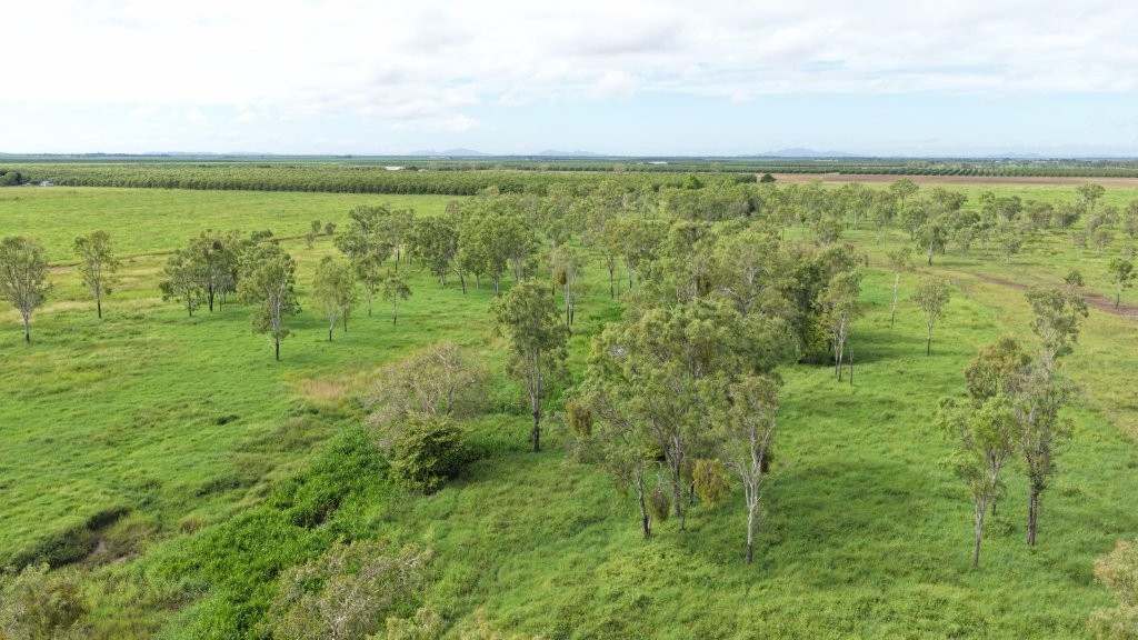 3 Comiskey Road, Horseshoe Lagoon For Sale by Farmbuy.com - image 4