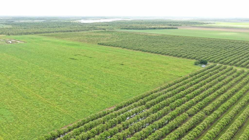 3 Comiskey Road, Horseshoe Lagoon For Sale by Farmbuy.com - image 9