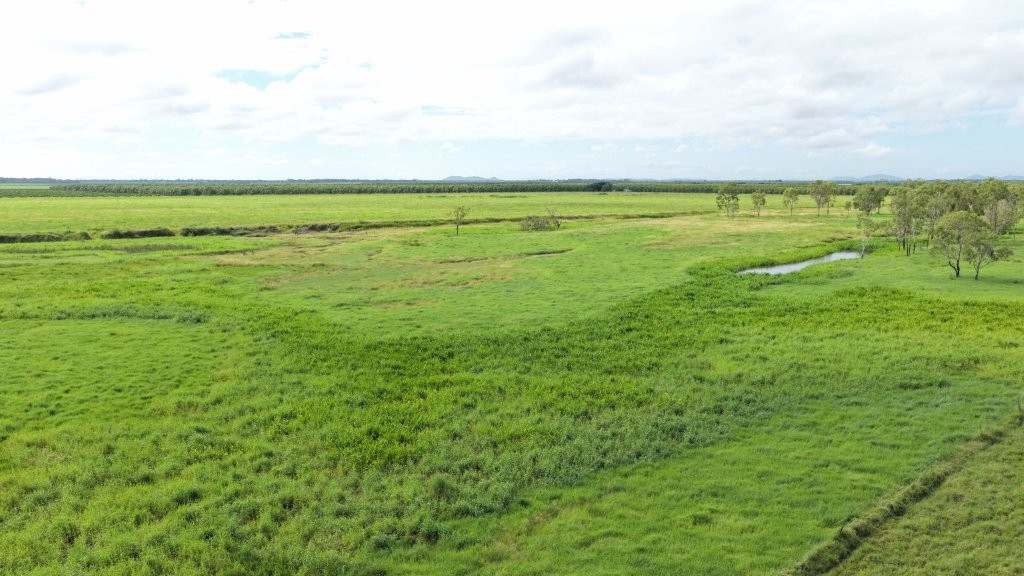 3 Comiskey Road, Horseshoe Lagoon For Sale by Farmbuy.com - image 28