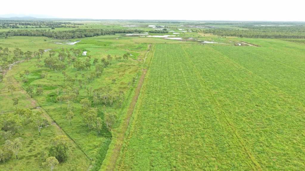 3 Comiskey Road, Horseshoe Lagoon For Sale by Farmbuy.com - image 14