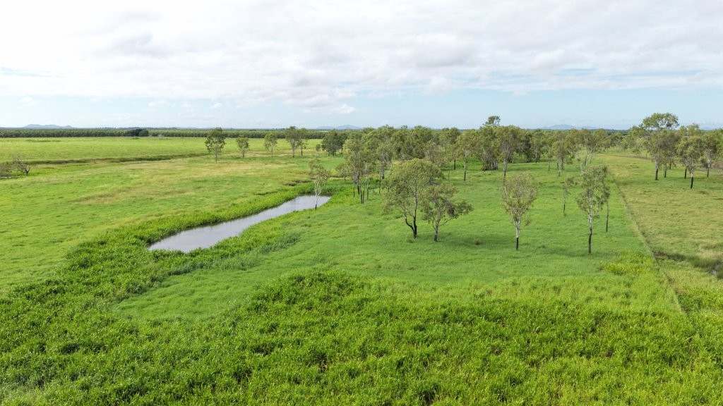 3 Comiskey Road, Horseshoe Lagoon For Sale by Farmbuy.com - image 27