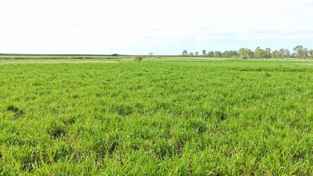 3 Comiskey Road, Horseshoe Lagoon For Sale by Farmbuy.com - image 29