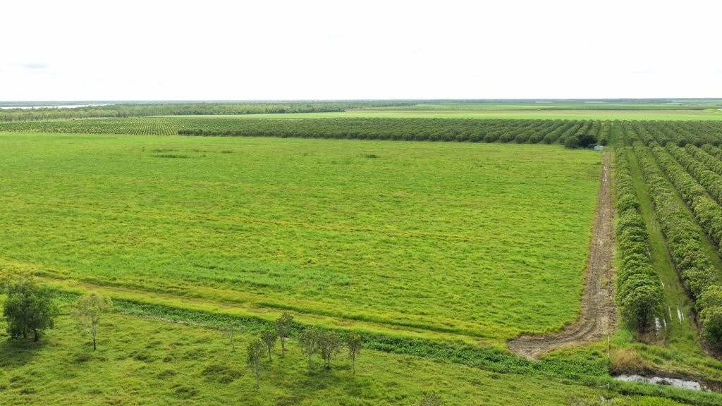 3 Comiskey Road, Horseshoe Lagoon For Sale by Farmbuy.com - image 25