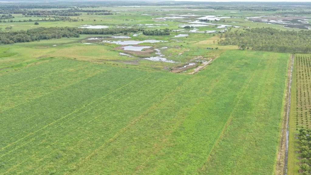 3 Comiskey Road, Horseshoe Lagoon For Sale by Farmbuy.com - image 17