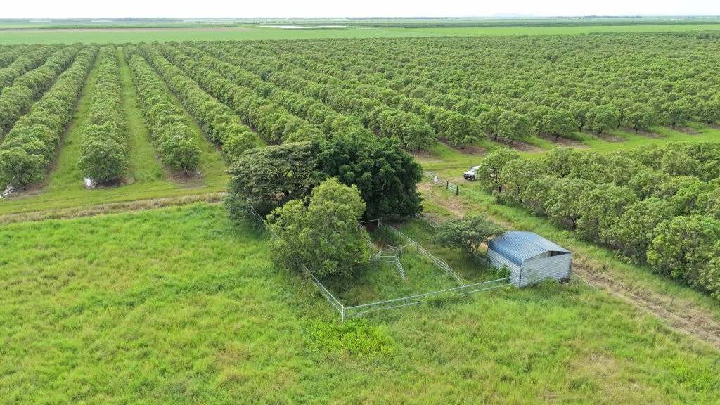 3 Comiskey Road, Horseshoe Lagoon For Sale by Farmbuy.com - image 2