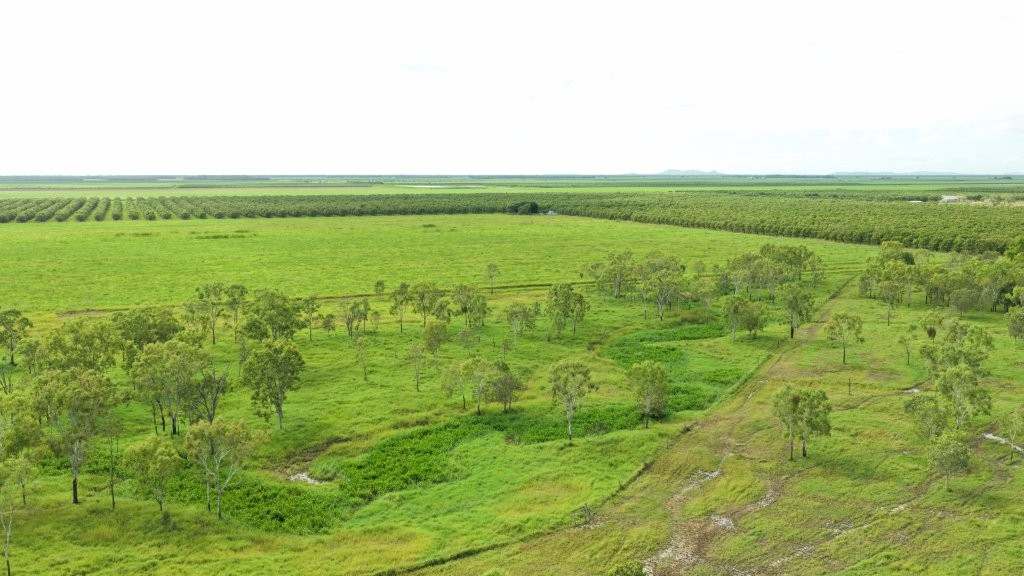 3 Comiskey Road, Horseshoe Lagoon For Sale by Farmbuy.com - image 26