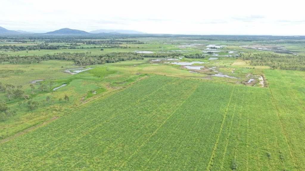 3 Comiskey Road, Horseshoe Lagoon For Sale by Farmbuy.com - image 24