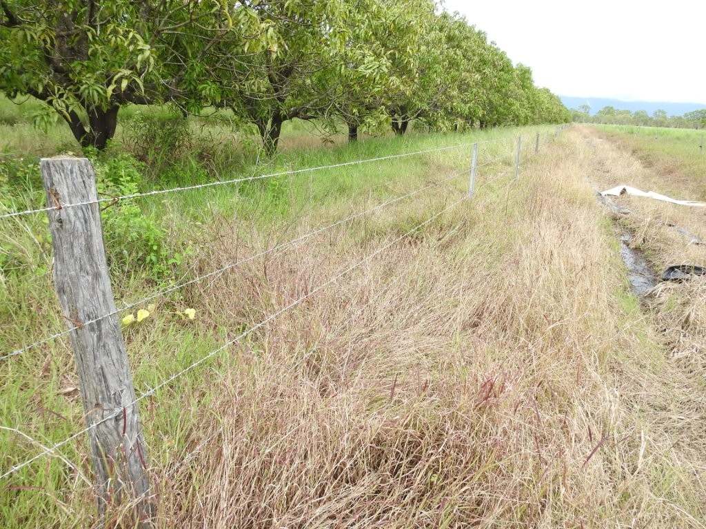 3 Comiskey Road, Horseshoe Lagoon For Sale by Farmbuy.com - image 37