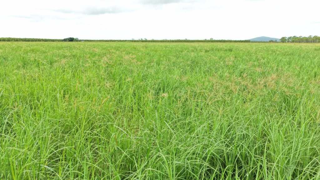 3 Comiskey Road, Horseshoe Lagoon For Sale by Farmbuy.com - image 5