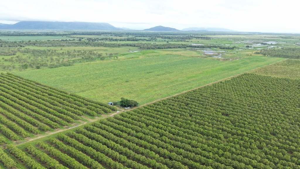 3 Comiskey Road, Horseshoe Lagoon For Sale by Farmbuy.com - image 11