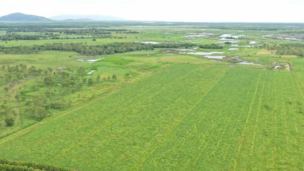 3 Comiskey Road, Horseshoe Lagoon For Sale by Farmbuy.com - image 18