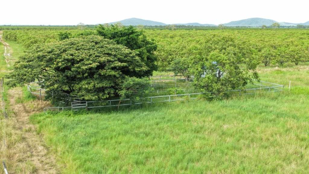 3 Comiskey Road, Horseshoe Lagoon For Sale by Farmbuy.com - image 21