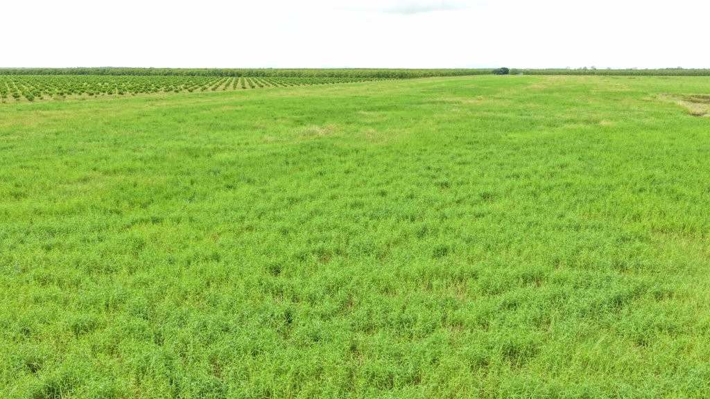 3 Comiskey Road, Horseshoe Lagoon For Sale by Farmbuy.com - image 6