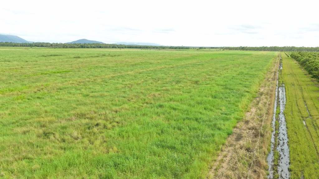 3 Comiskey Road, Horseshoe Lagoon For Sale by Farmbuy.com - image 22