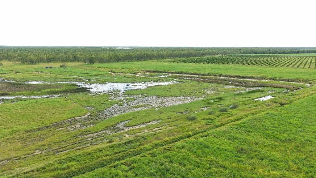 3 Comiskey Road, Horseshoe Lagoon For Sale by Farmbuy.com - image 15