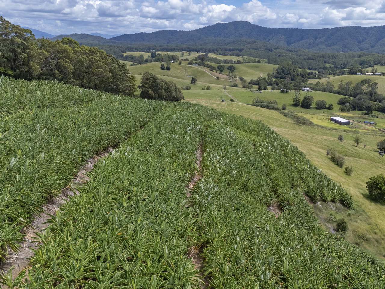 75 Colemans Road, Valla For Sale by Farmbuy.com - image 27