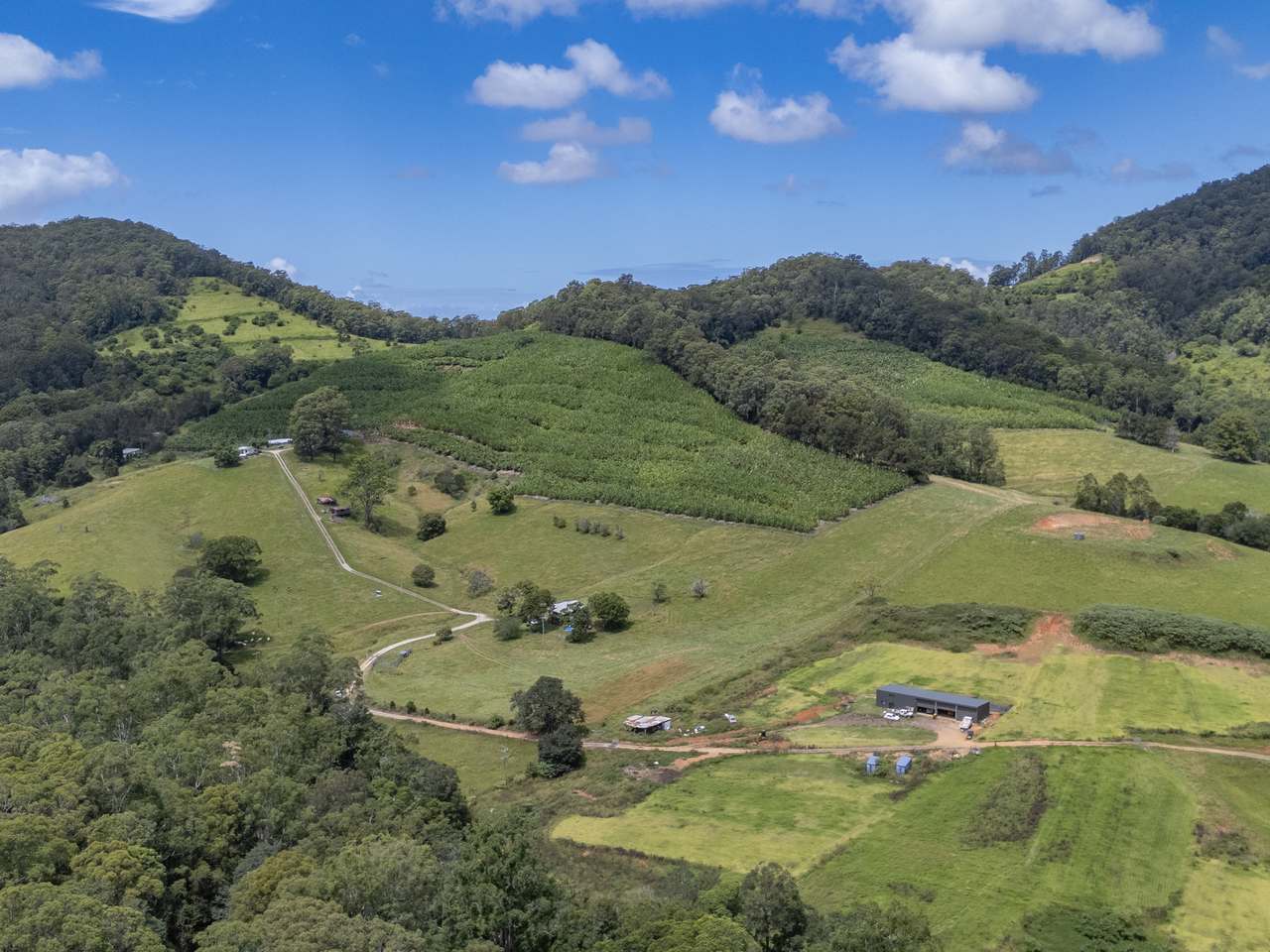 75 Colemans Road, Valla For Sale by Farmbuy.com - image 3