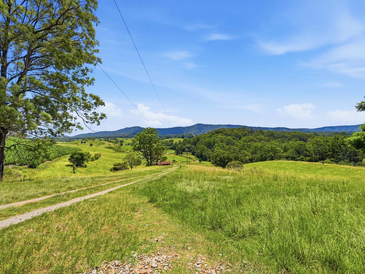 75 Colemans Road, Valla For Sale by Farmbuy.com - image 15