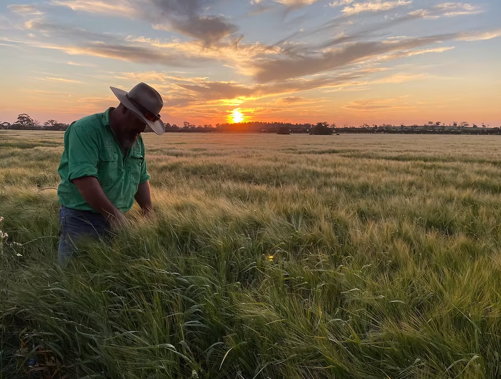 Coloma, Dubbo Auction by Farmbuy.com - image 7