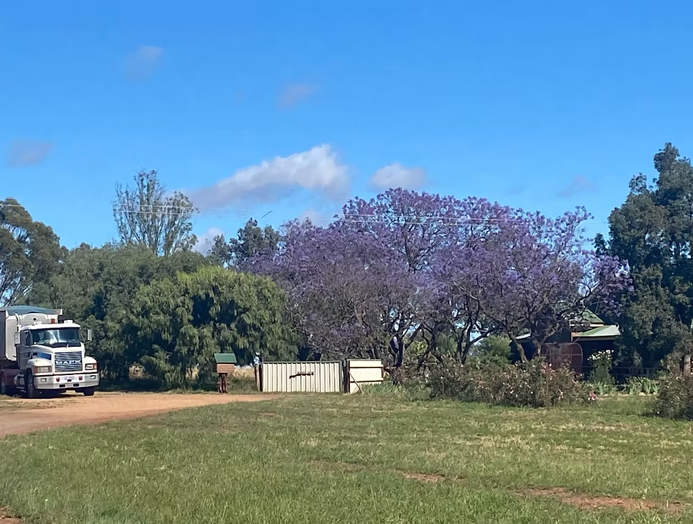 Coloma, Dubbo Auction by Farmbuy.com - image 3