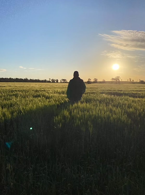 Coloma, Dubbo Auction by Farmbuy.com - image 15
