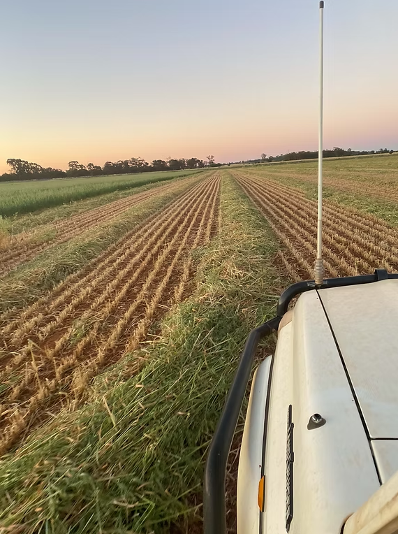 Coloma, Dubbo Auction by Farmbuy.com - image 4