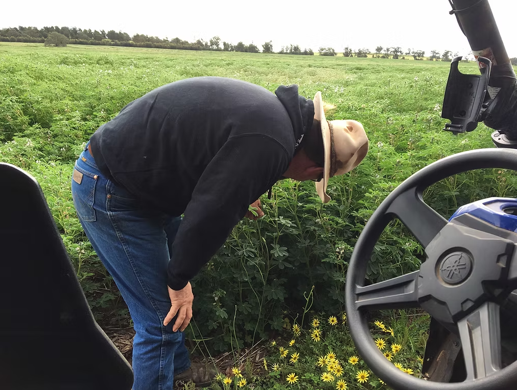 Coloma, Dubbo Auction by Farmbuy.com - image 22