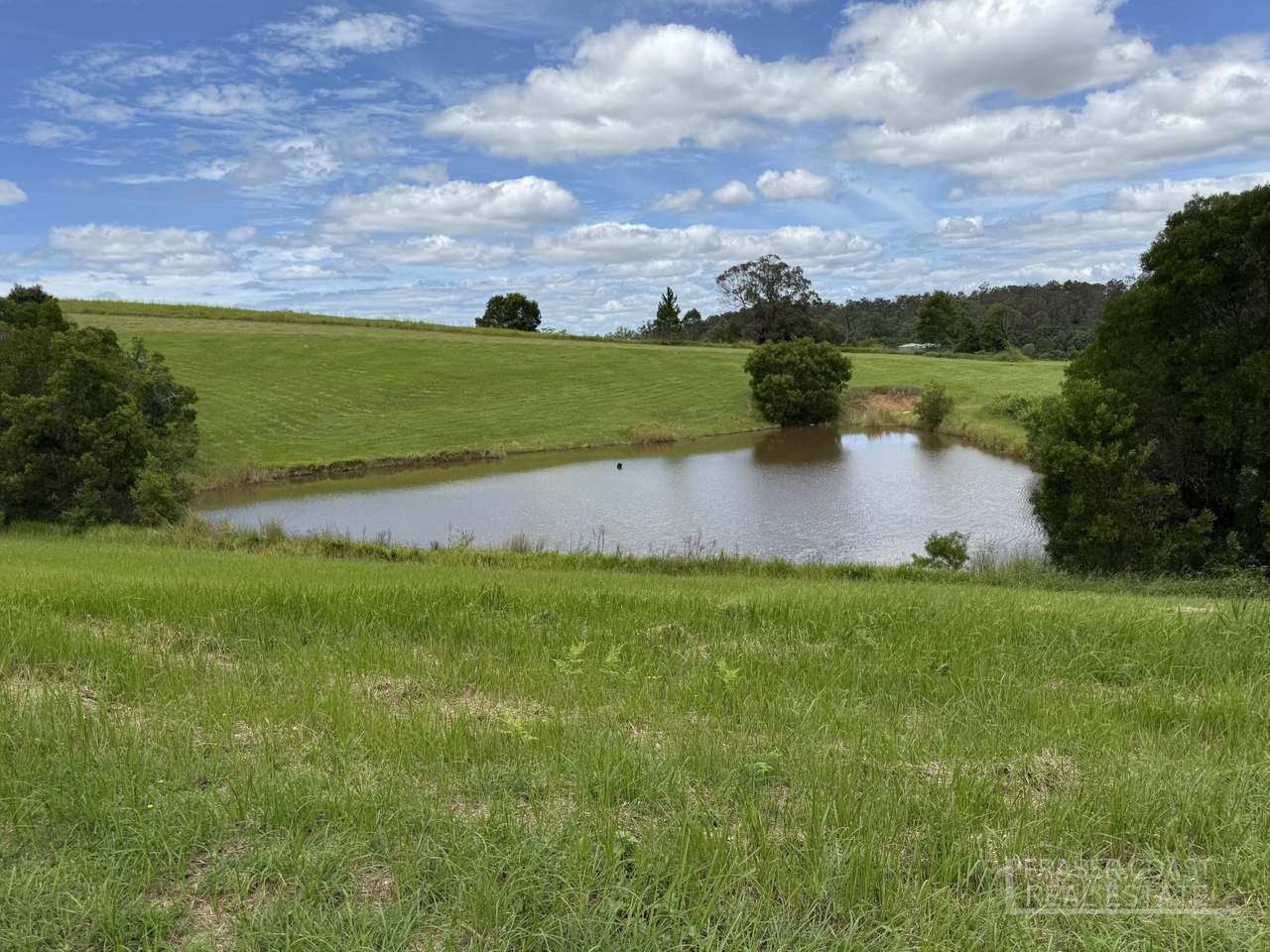 27 Tatnell Road, North Deep Creek For Sale by Farmbuy.com - image 6