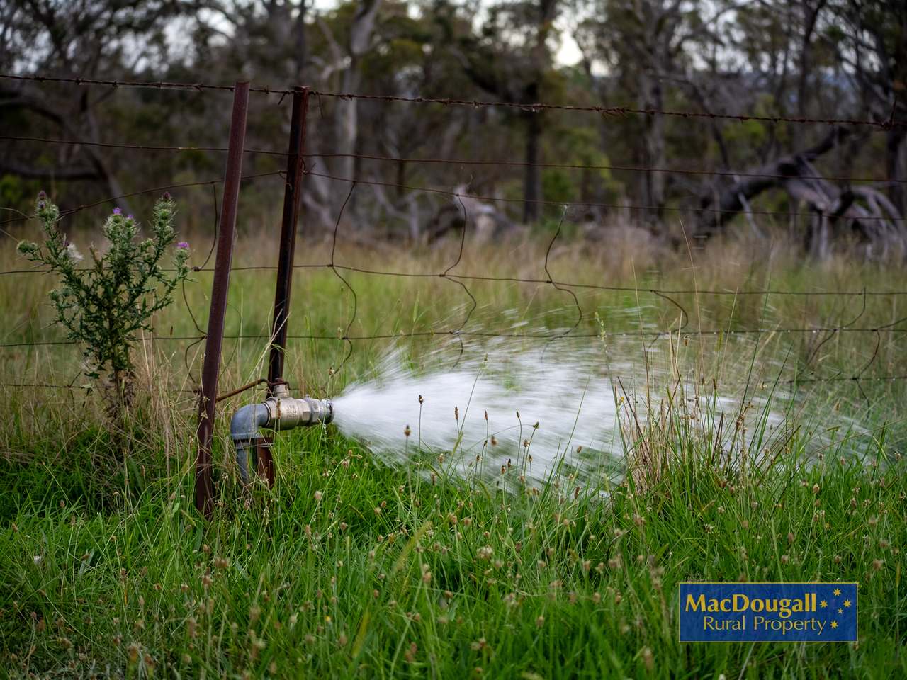 6832 New England Highway, Uralla For Sale by Farmbuy.com - image 9