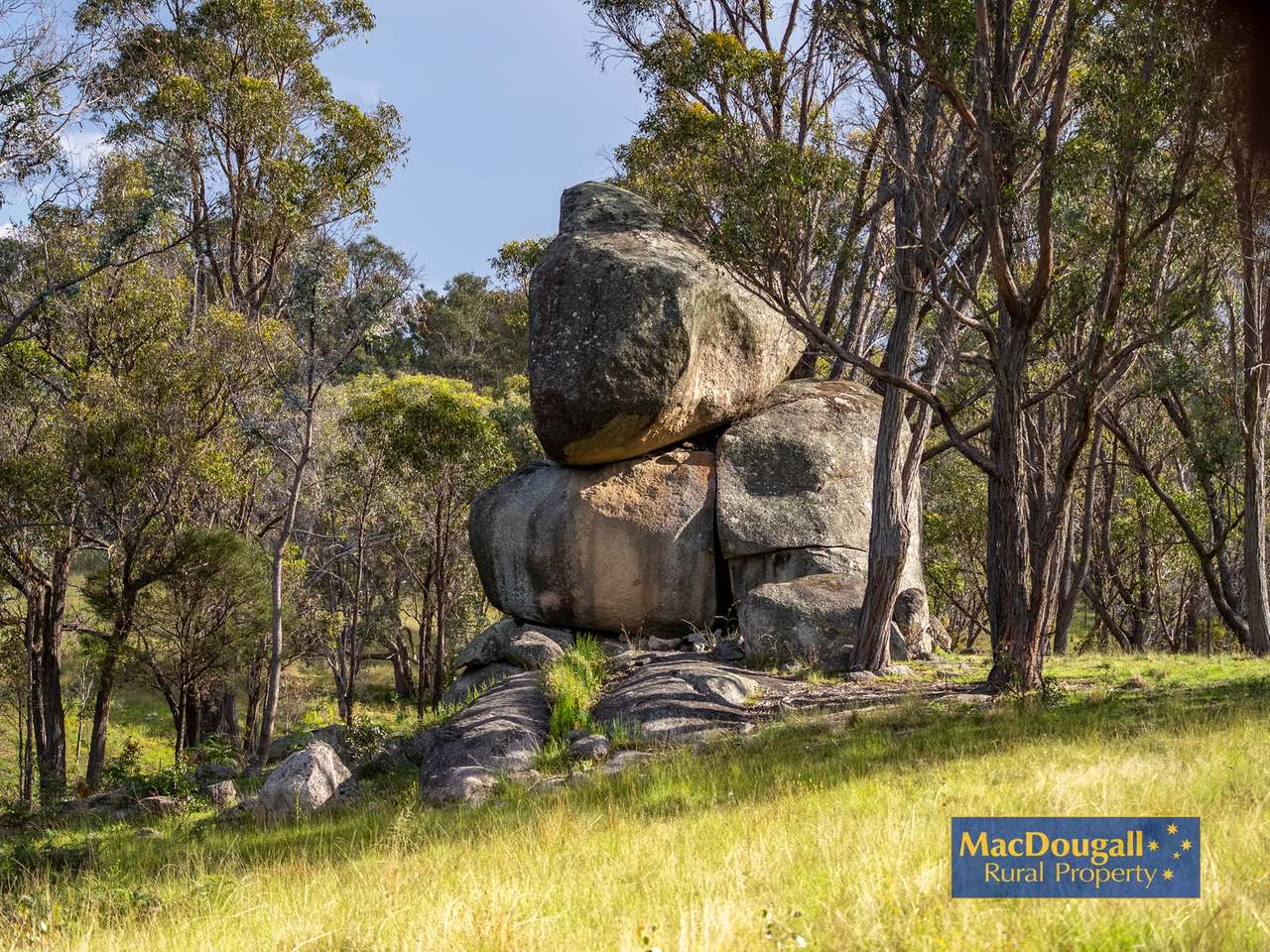 6832 New England Highway, Uralla For Sale by Farmbuy.com - image 25