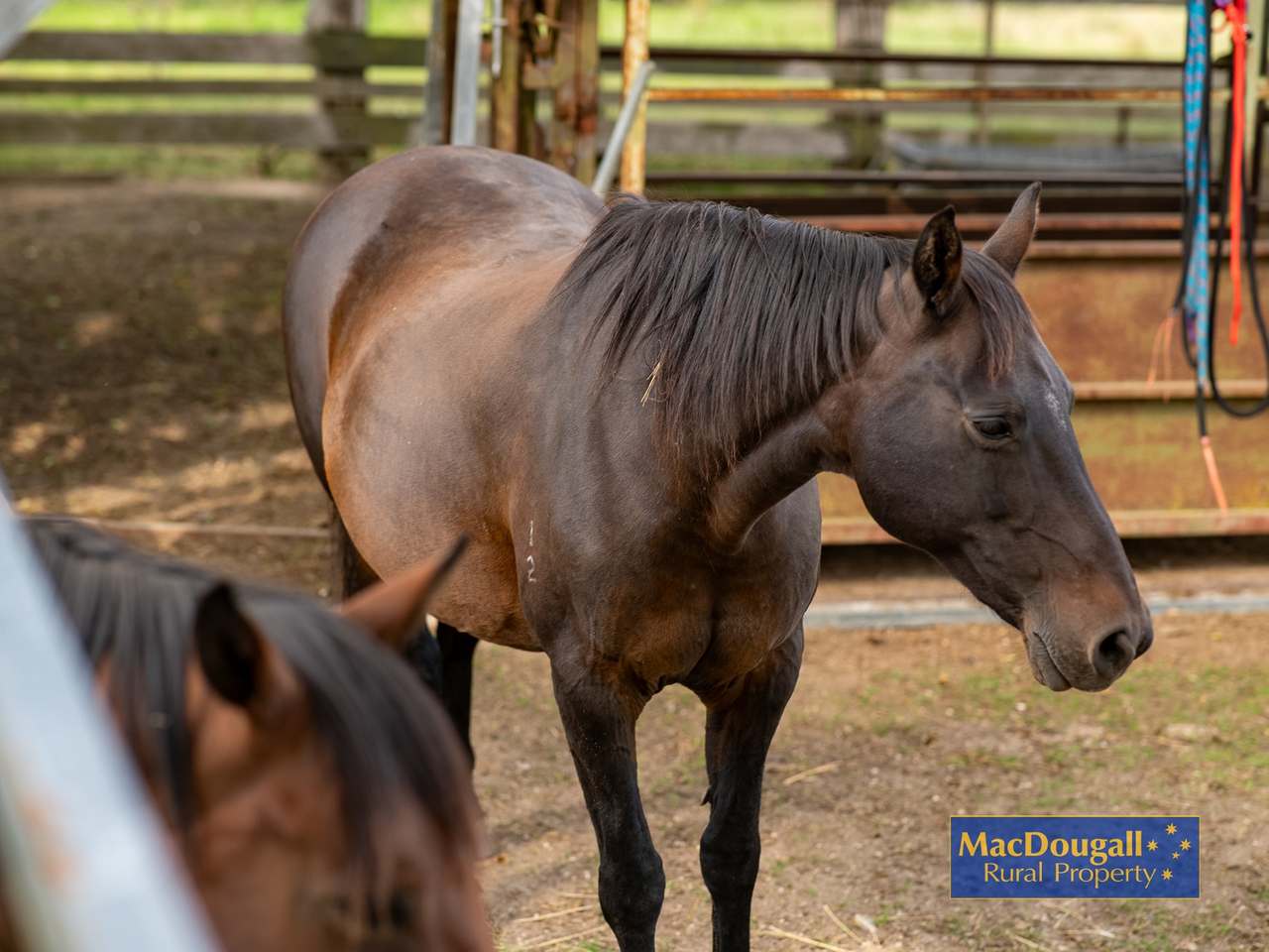 6832 New England Highway, Uralla For Sale by Farmbuy.com - image 23