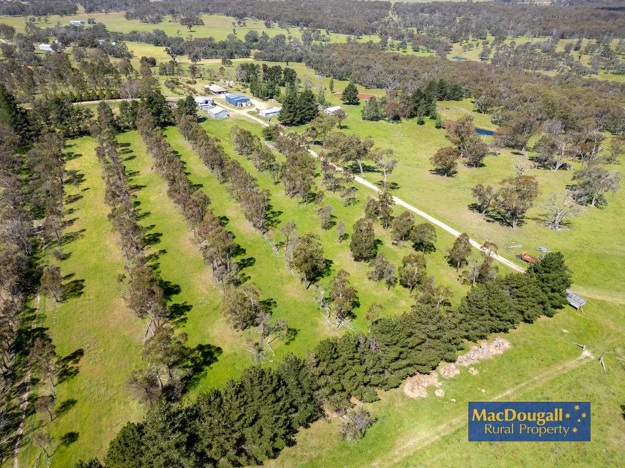 6832 New England Highway, Uralla For Sale by Farmbuy.com - image 4