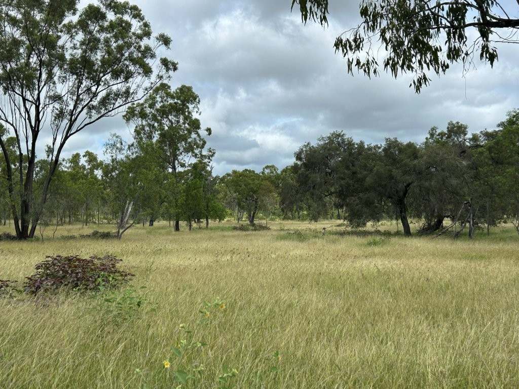 240 Old Dalrymple Road, Breddan For Sale by Farmbuy.com - image 9