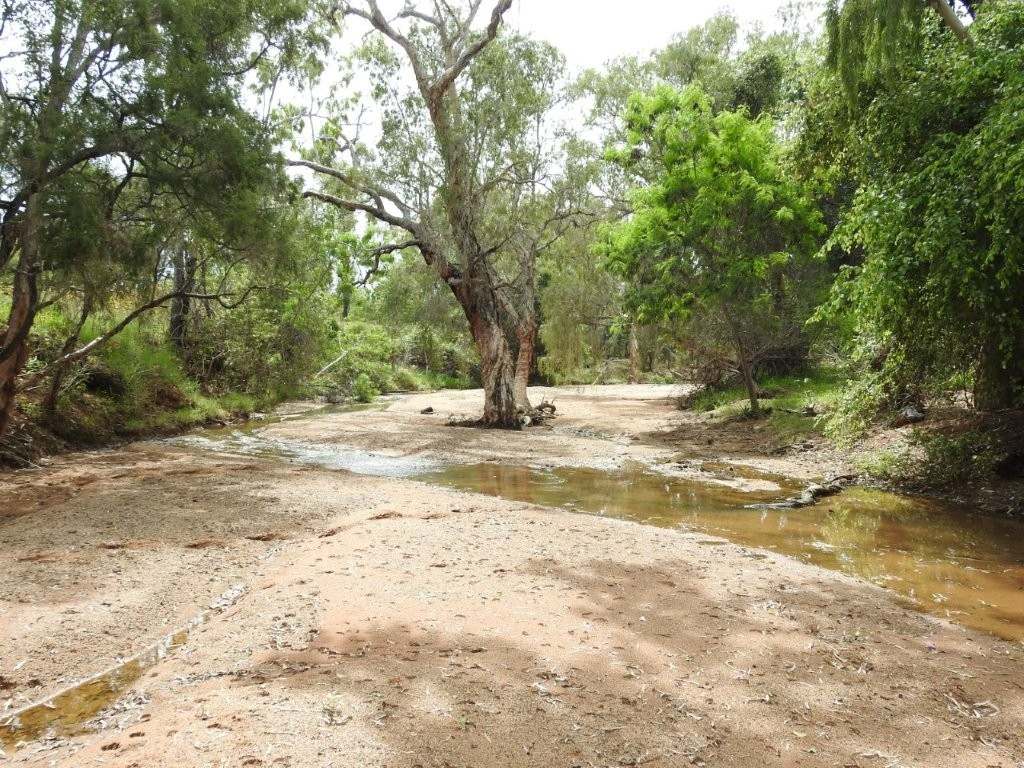 240 Old Dalrymple Road, Breddan For Sale by Farmbuy.com - image 10