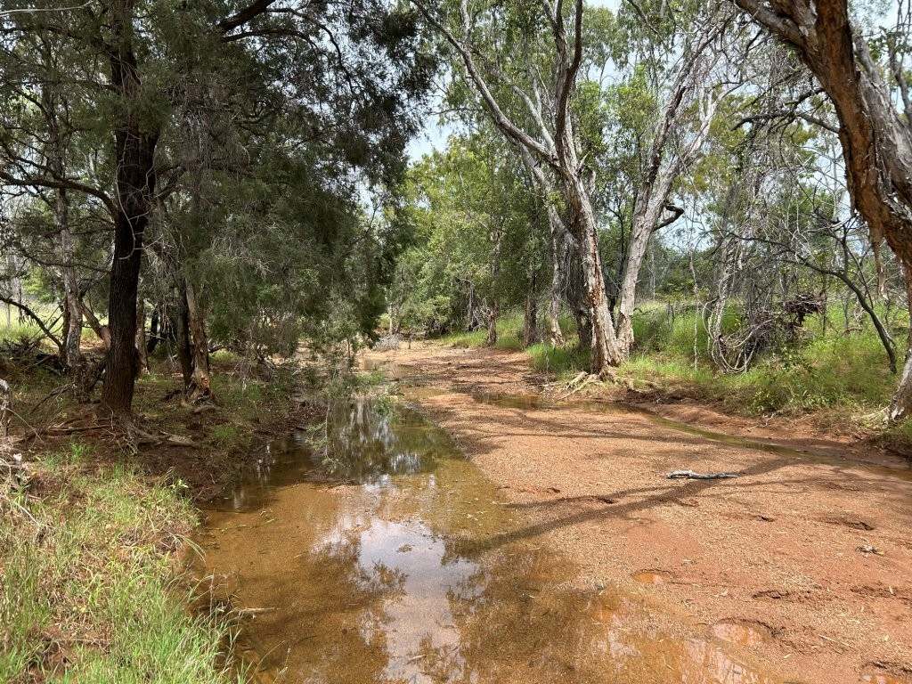 240 Old Dalrymple Road, Breddan For Sale by Farmbuy.com - image 13