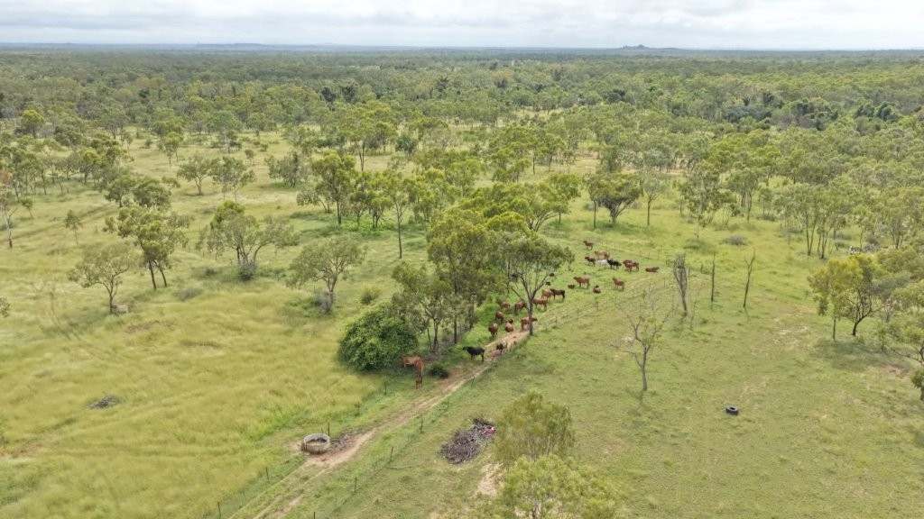 240 Old Dalrymple Road, Breddan For Sale by Farmbuy.com - image 3