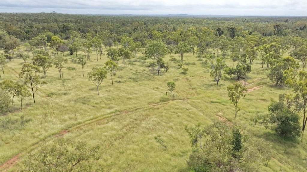 240 Old Dalrymple Road, Breddan For Sale by Farmbuy.com - image 2