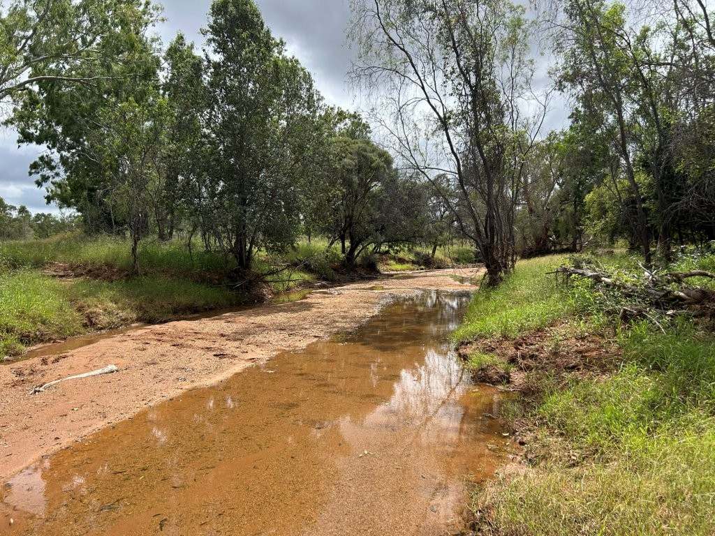 240 Old Dalrymple Road, Breddan For Sale by Farmbuy.com - image 31