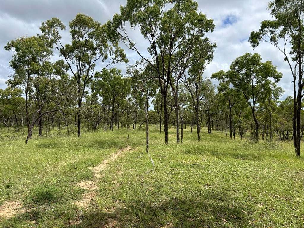 240 Old Dalrymple Road, Breddan For Sale by Farmbuy.com - image 30