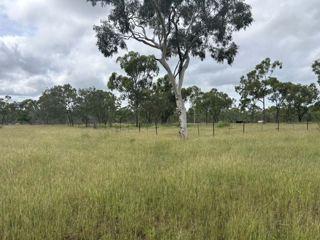 240 Old Dalrymple Road, Breddan For Sale by Farmbuy.com - image 14