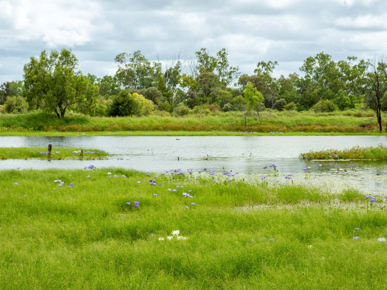 298 Bingegang Road, Jellinbah Auction by Farmbuy.com - image 7